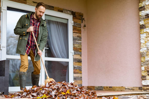 Basement Cleanout Services in Flagler Estates, FL